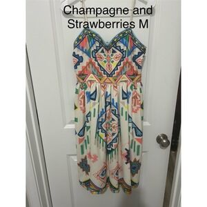Champagne and Strawberries Geometric Print A‎ Line Dress Women Medium